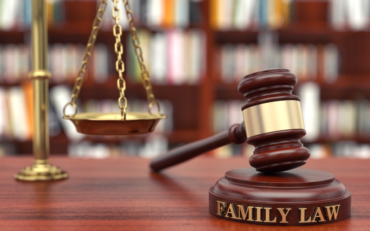 Family Law Image